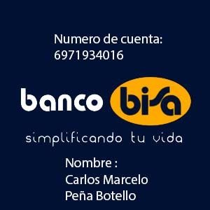 Banco bisa 300x300 1